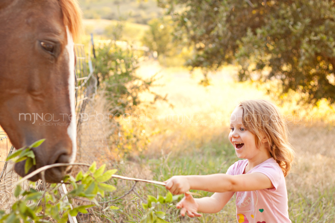 Aledo Photographer; Aledo Photography;