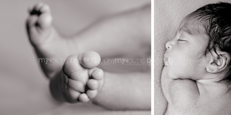 "fort worth newborn photographer" ,"tx newborn", "fort worth newborn" ,"fort worth tx newborn photographer", "newborn gril" ,"mjnolte photography" ,"mjnolte", "babies by mjnolte photography", "beautiful newborn", "best fort worth newborn photographer" "who is the best newborn photographer in fort worth?", "who is the best photographer in aledo?"