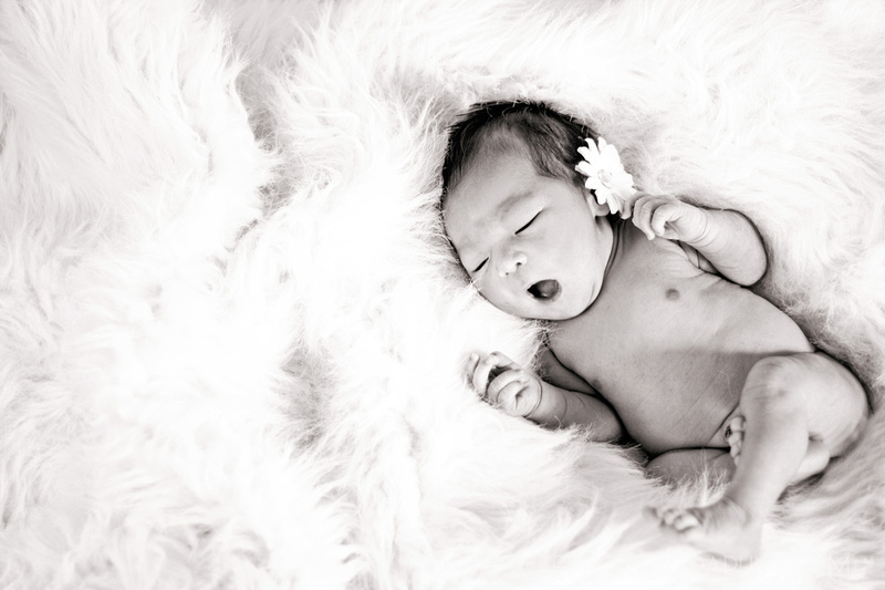 "fort worth newborn photographer" "tx newborn" "fort worth newborn" "fort worth tx newborn photographer" "newborn girl" "mjnolte photography" "mjnolte" "babies by mjnolte photography" "newborn with books" 